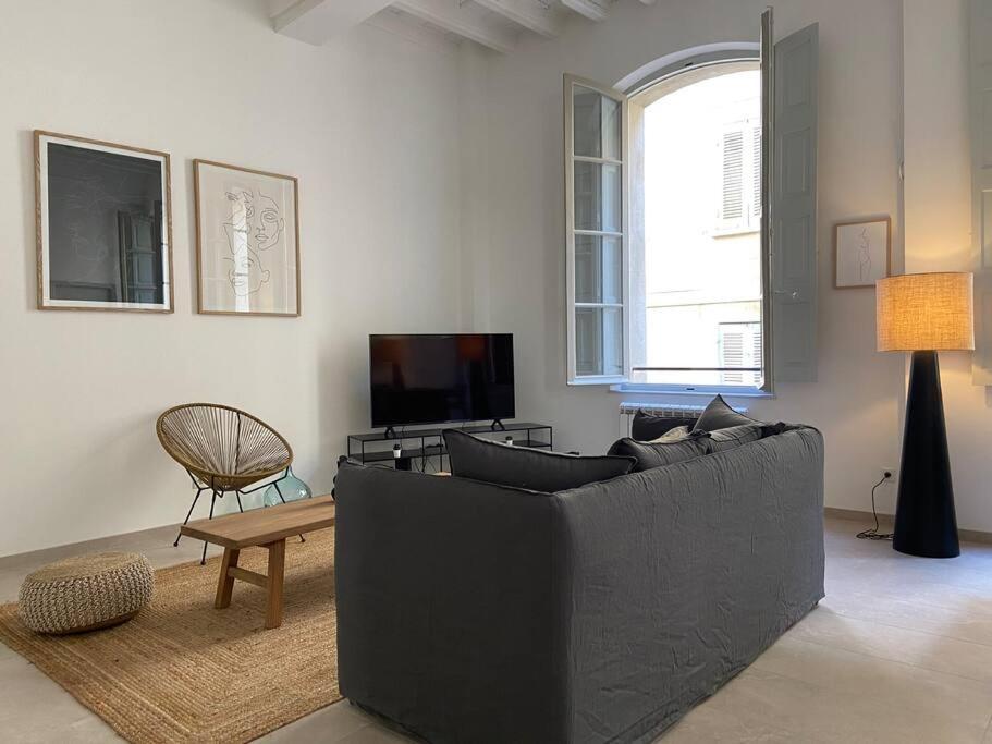 Appartement Avec Ventilateurs Proche Du Palais Des Papes 亞維農 外观 照片