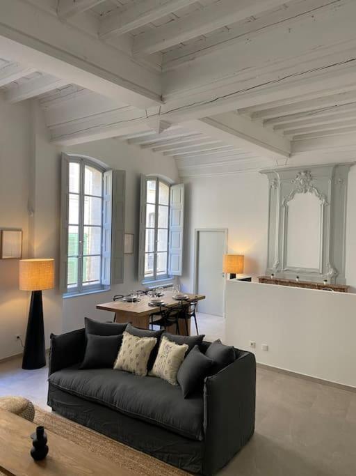 Appartement Avec Ventilateurs Proche Du Palais Des Papes 亞維農 外观 照片